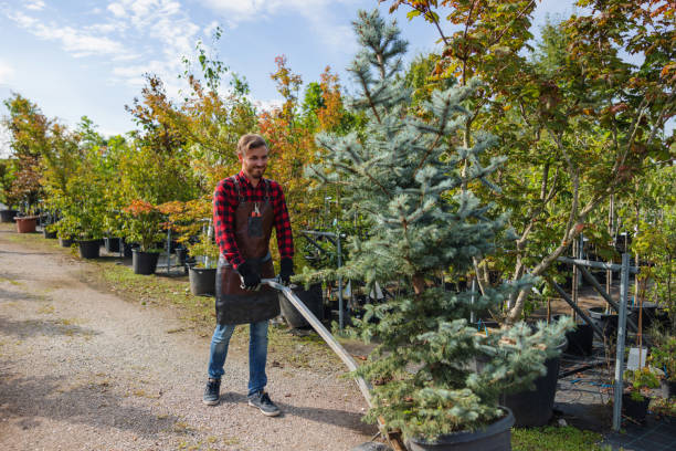 Best Stump Grinding and Removal  in Lake Fenton, MI